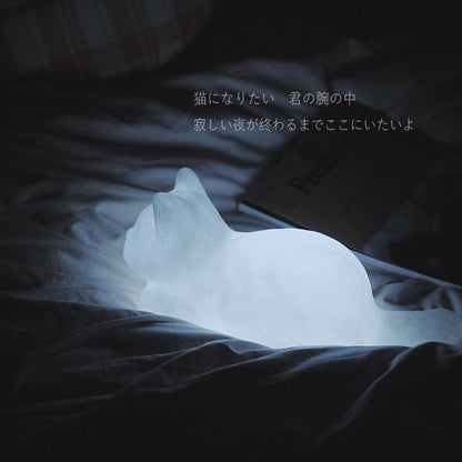 Creative Cute Night Light Cat&amp;amp;#039;s Good Night Atmosphere Light For Girlfriend, Best Friend, Birthday Gift, Photo Cat Decoration